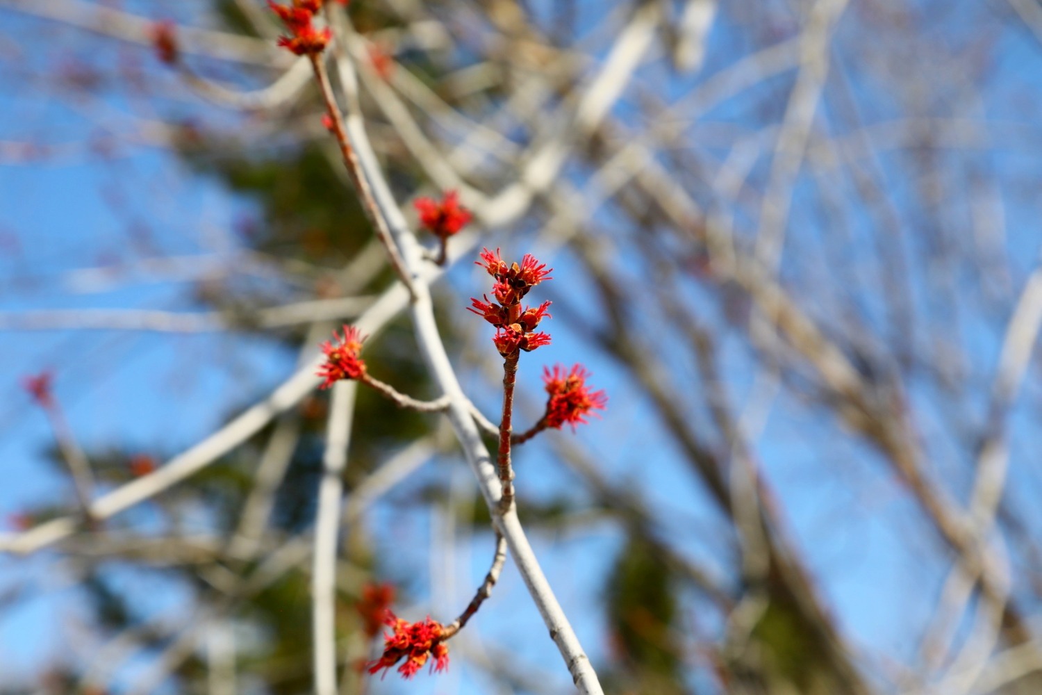 Валерий Шахов ИА «Башинформ»