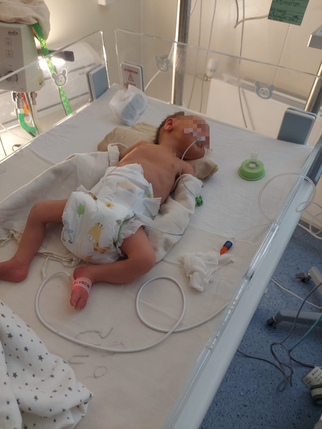 На фото: спасенные мама и малыш