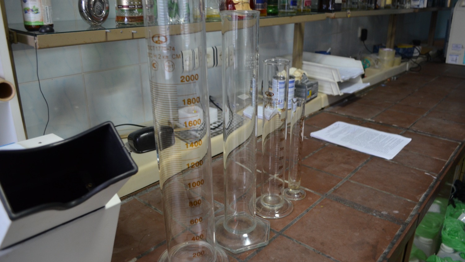 Ксения Калинина