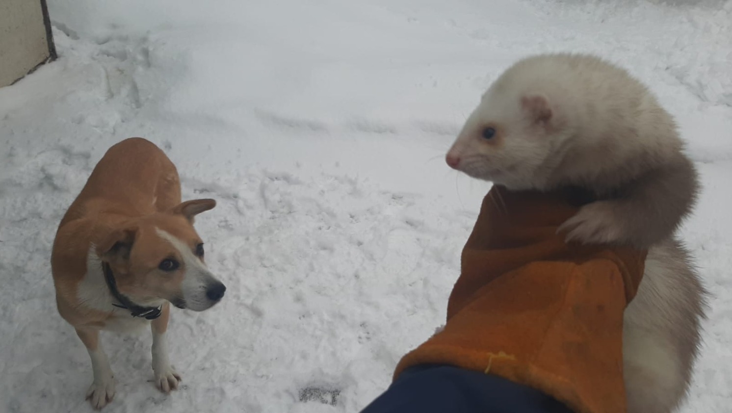 личный архив Андрея Жерновкова