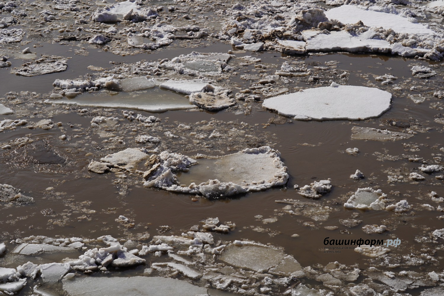 Олег Яровиков ИА "Башинформ"