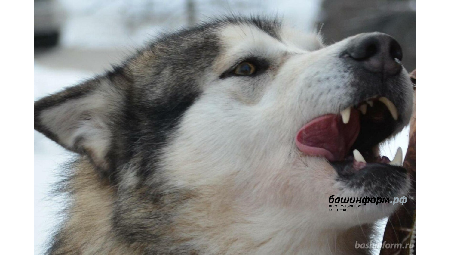 Ксения Калинина