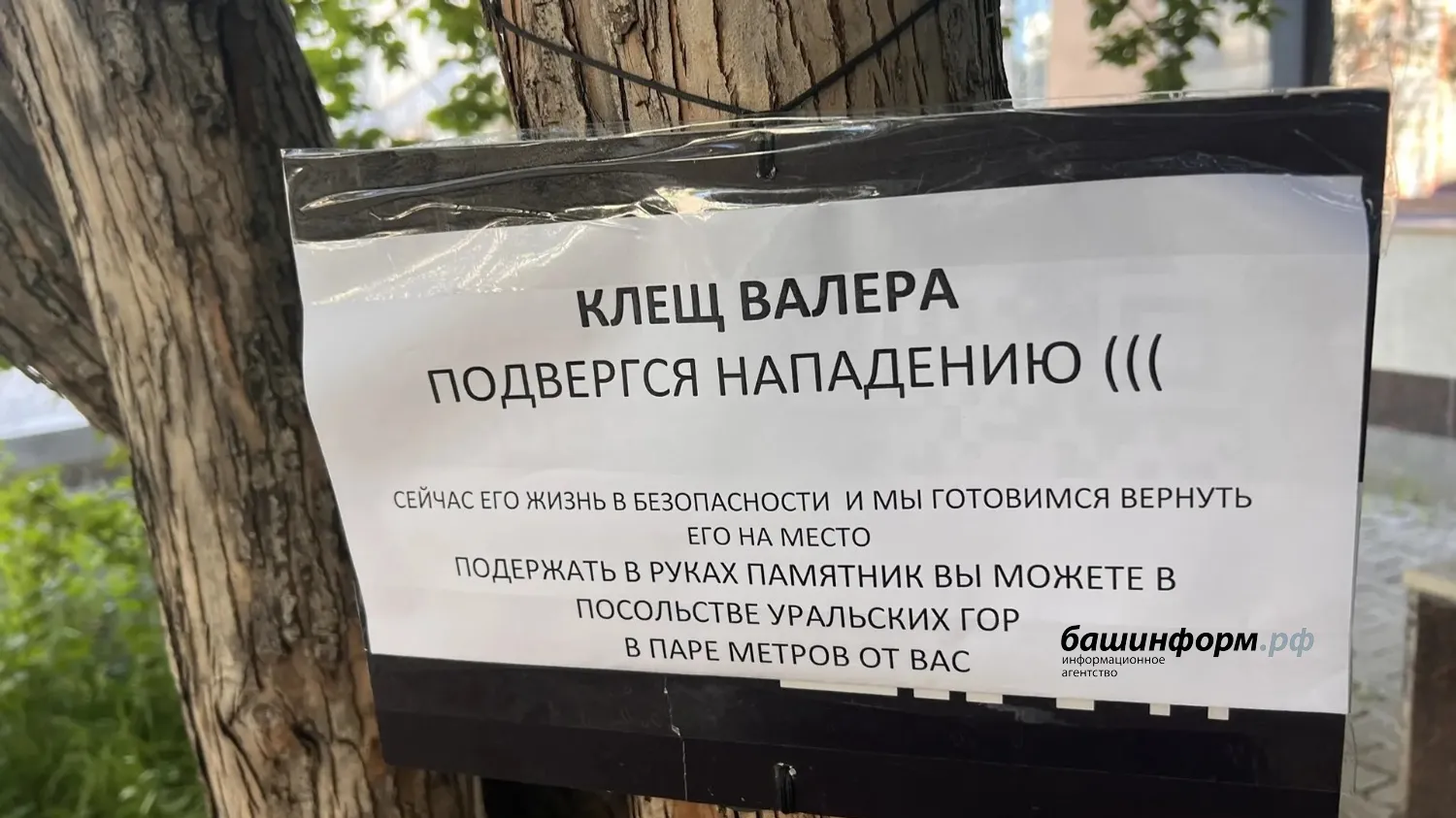 Ксения Калинина  ИА «Башинформ»