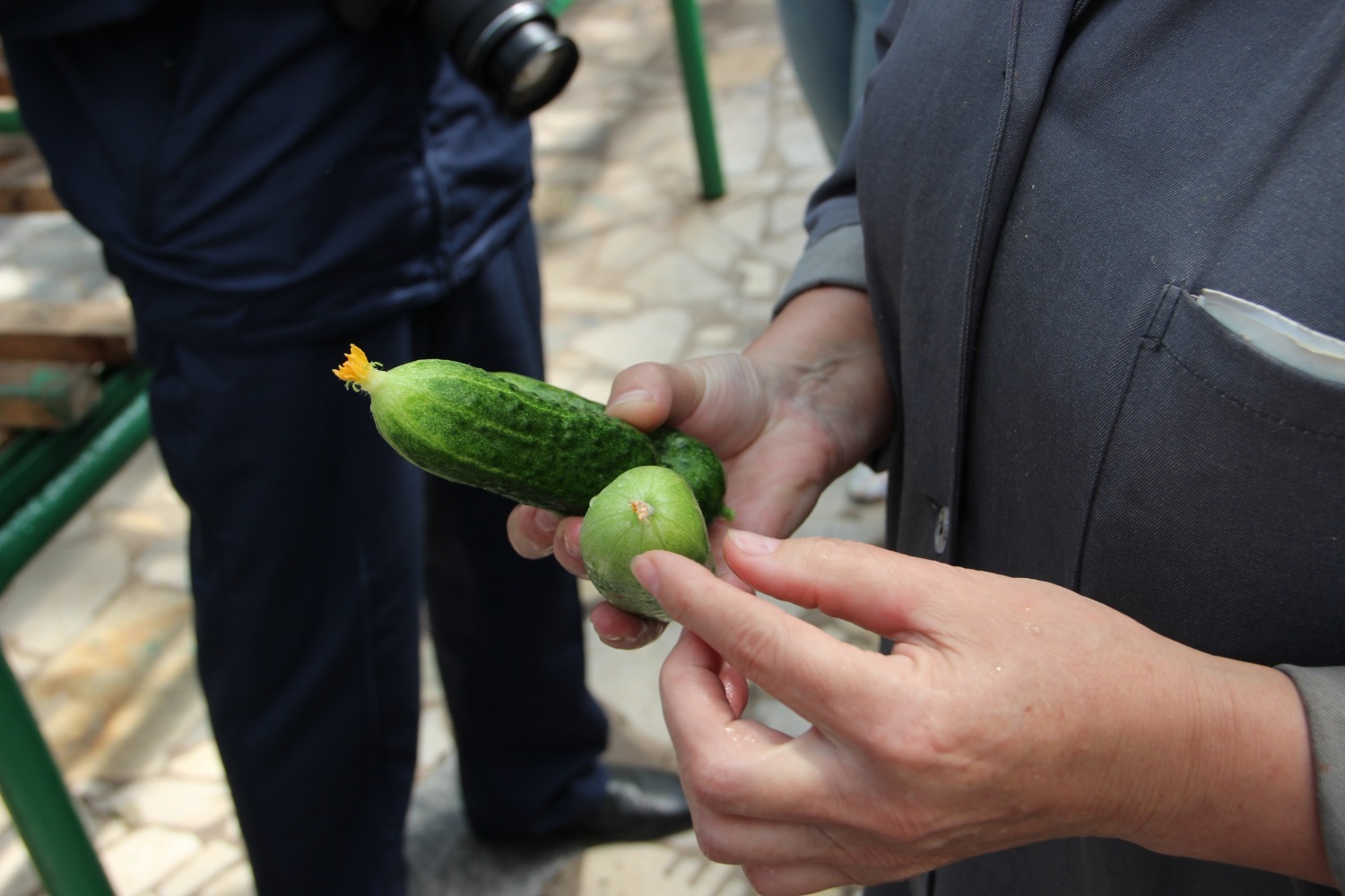 Ксения Калинина