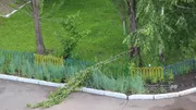 Ксения Калинина  ИА «Башинформ»