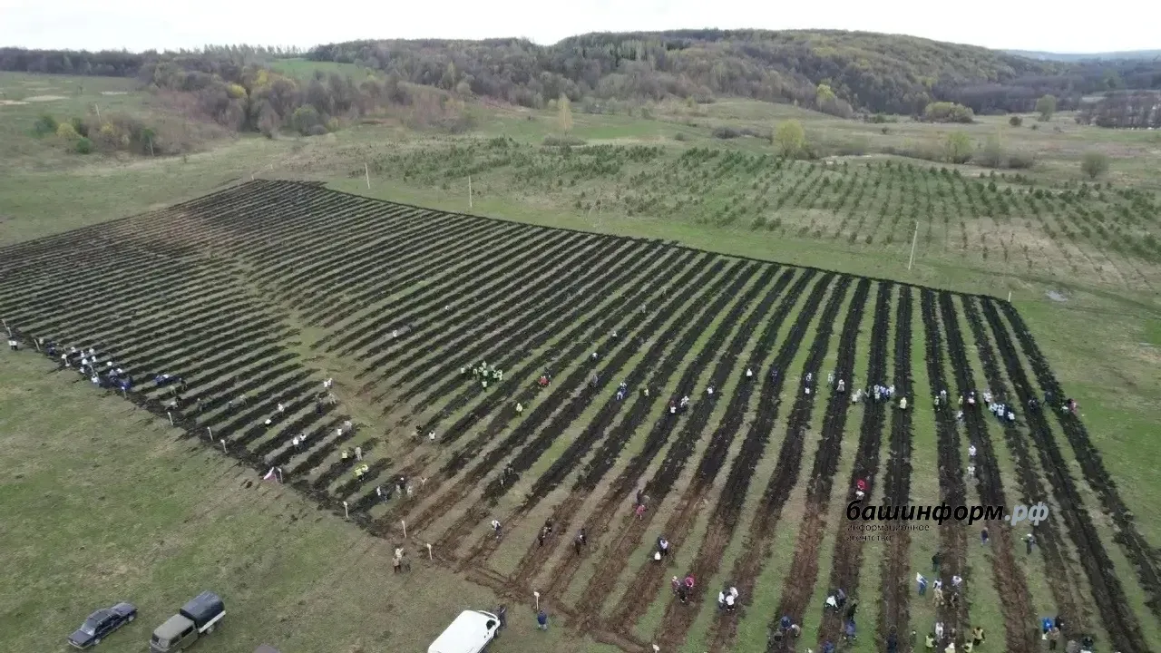 пресс-служба  Главы РБ