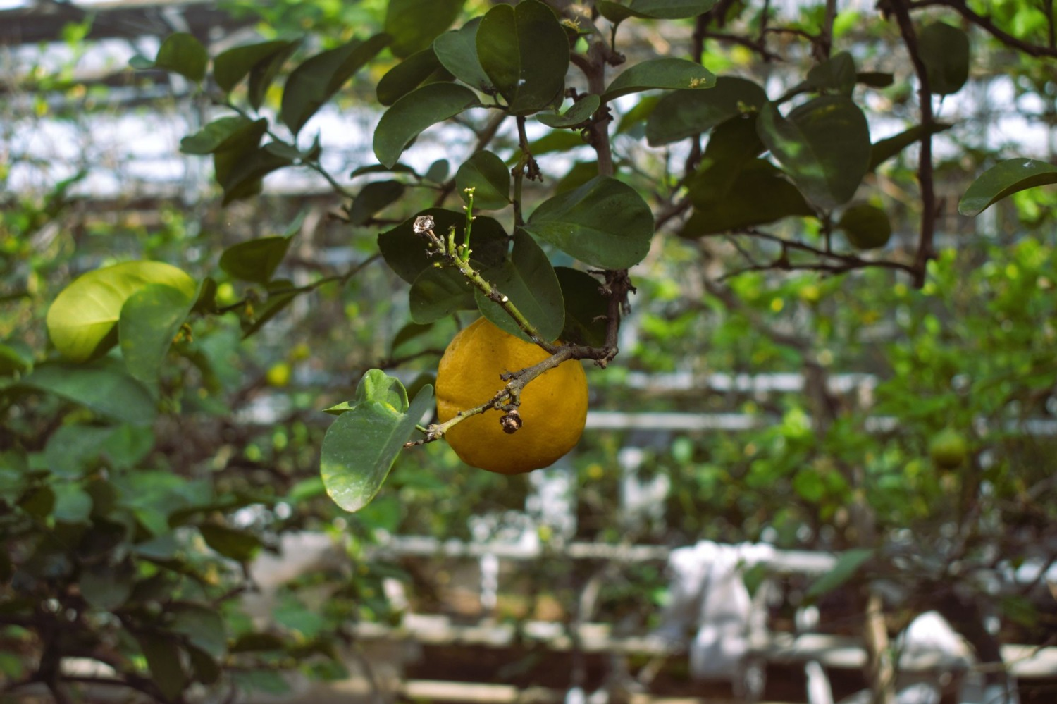 минэкологии РБ пресс-служба