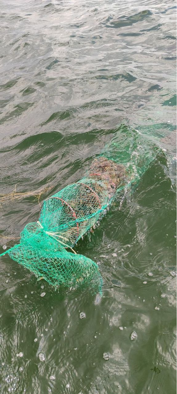 Минэкологии РБ