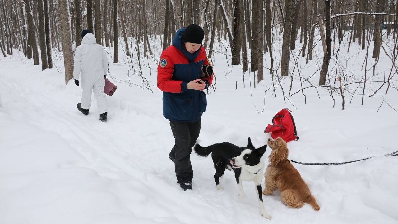 Валерий Шахов