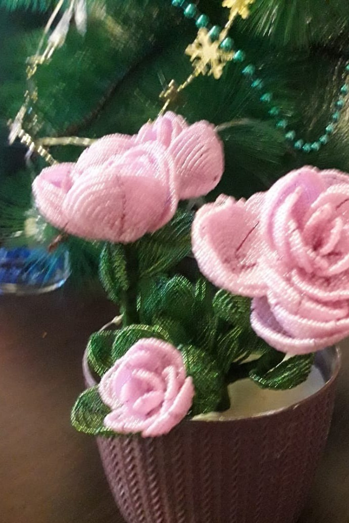 предоставлено героем публикации.