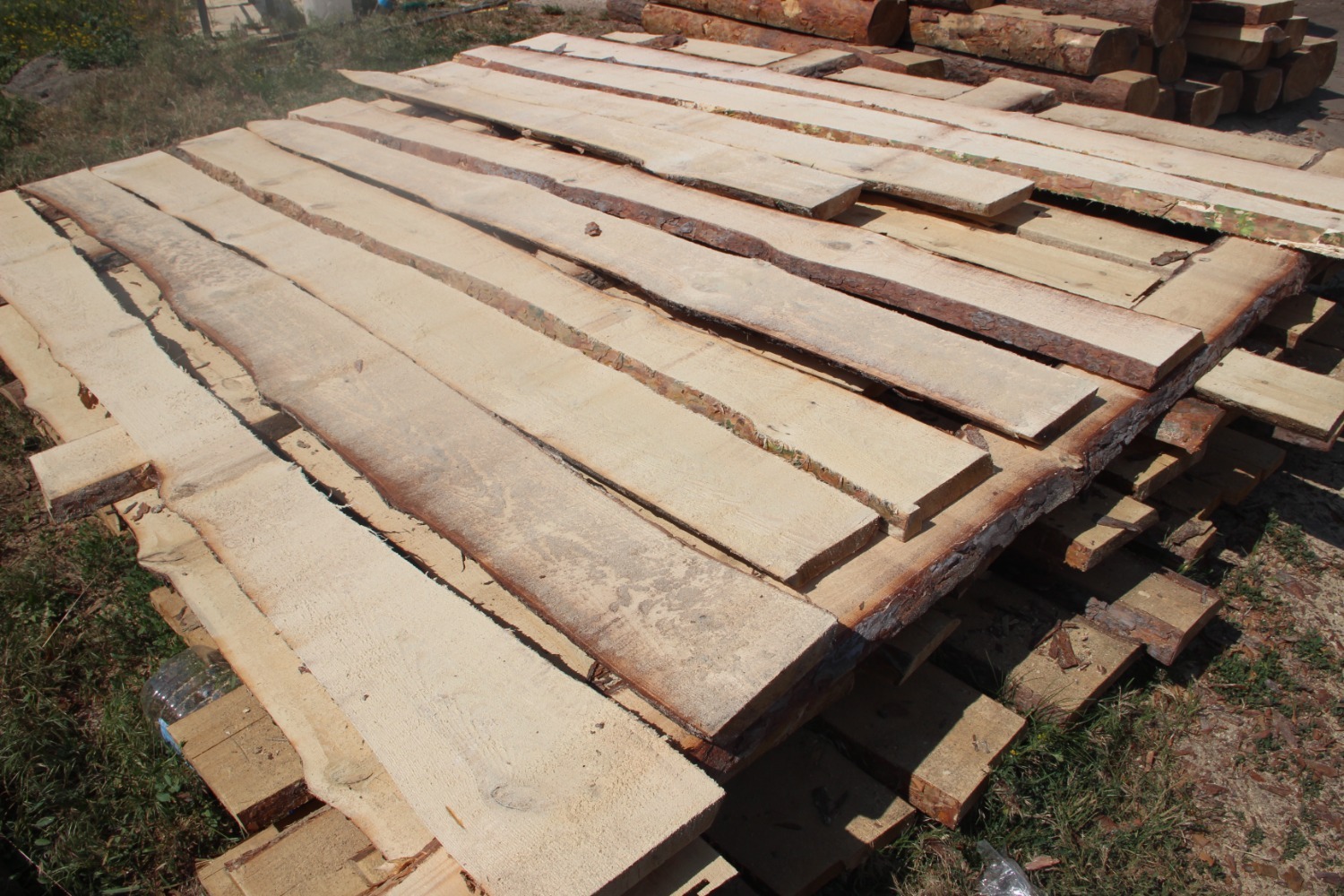 Эдуард Кускарбеков