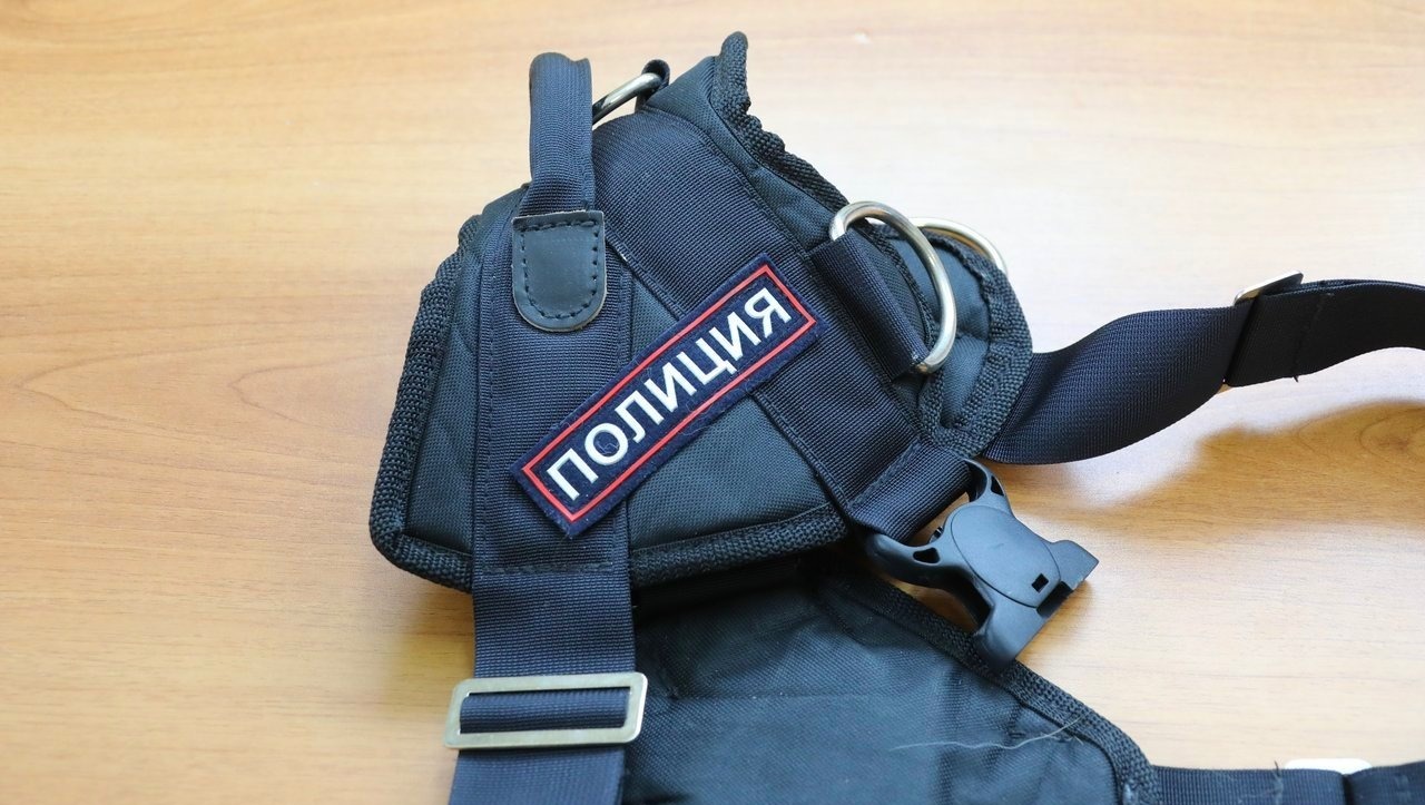 Валерий Шахов