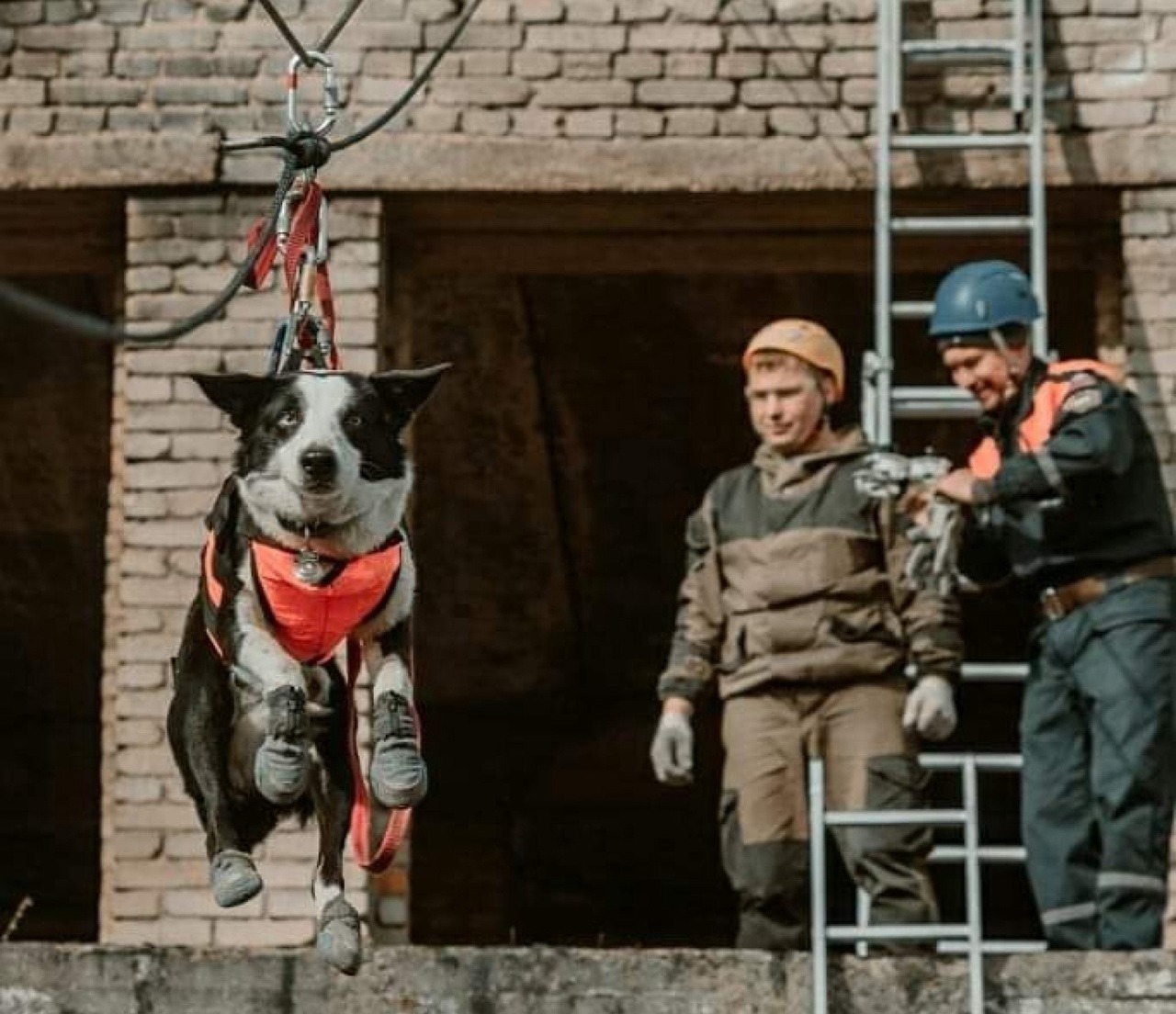 Госкомитет РБ по ЧС