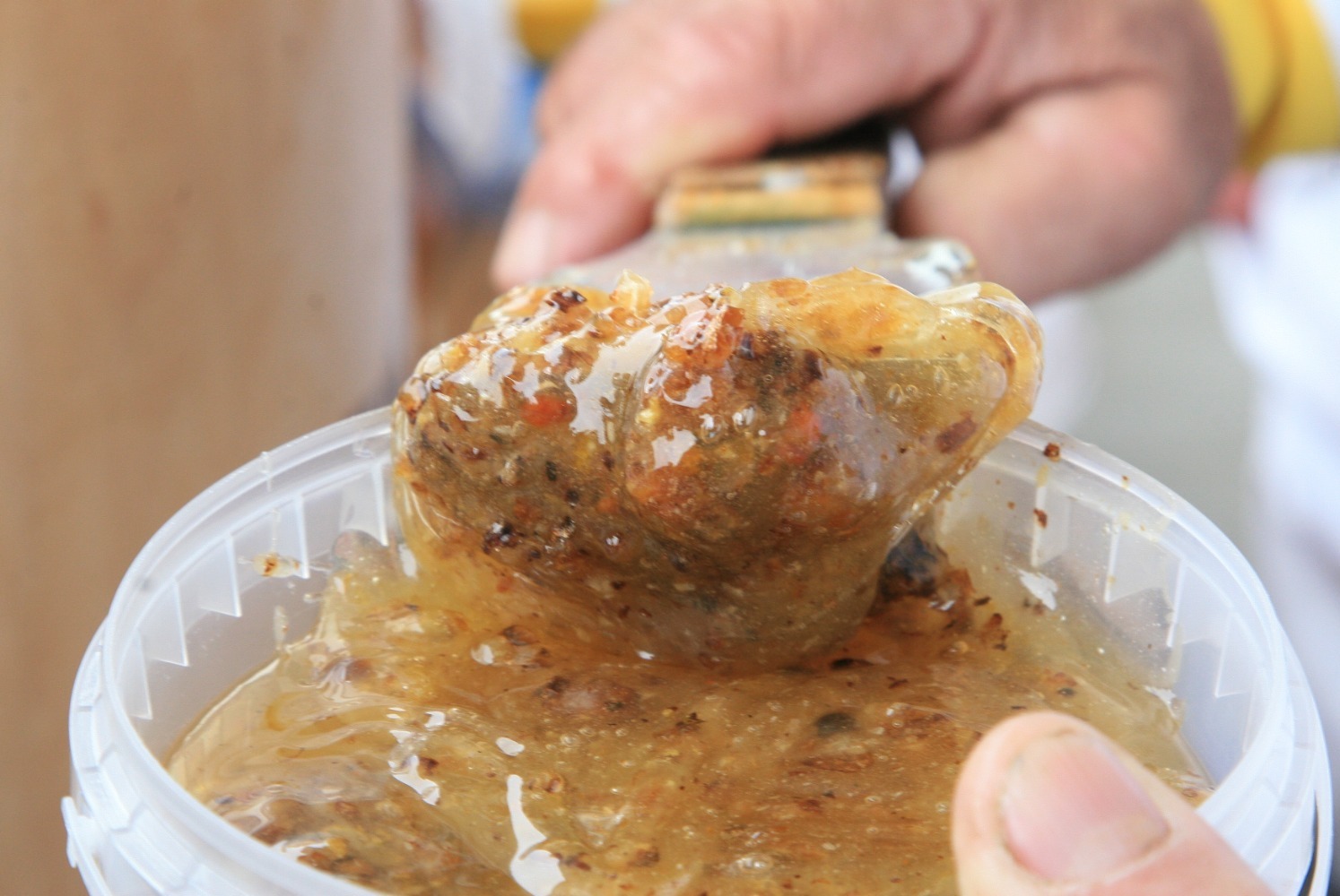 Андрей Старостин