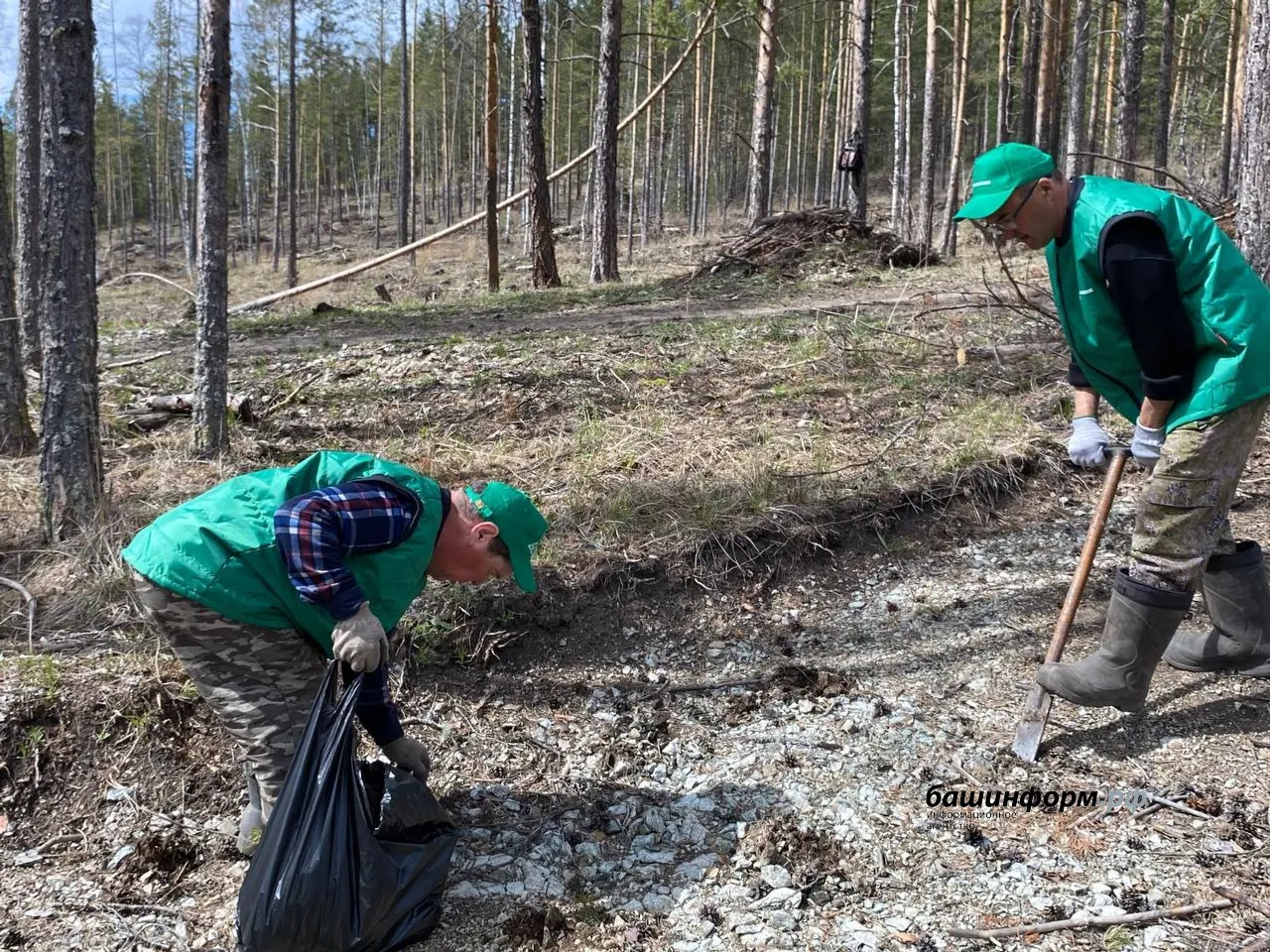 Инсаф Хужабирганов ИА «Башинформ»