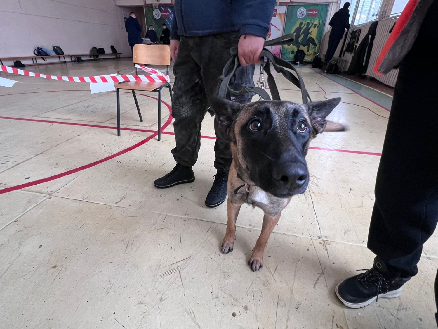 Ксения Калинина