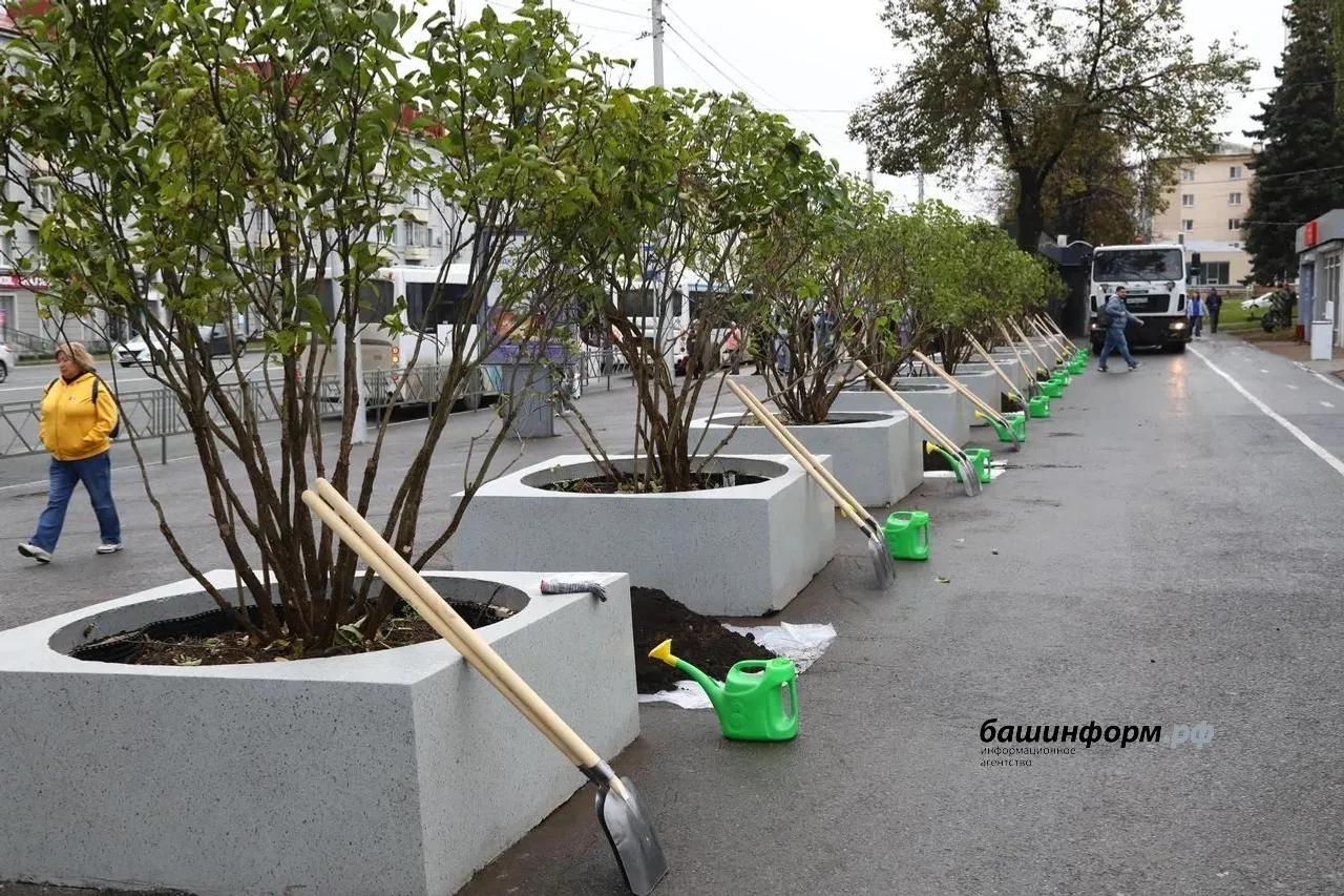 Валерий Шахов