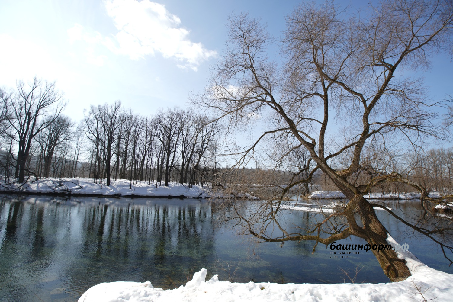 Олег Яровиков ИА "Башкортостан"