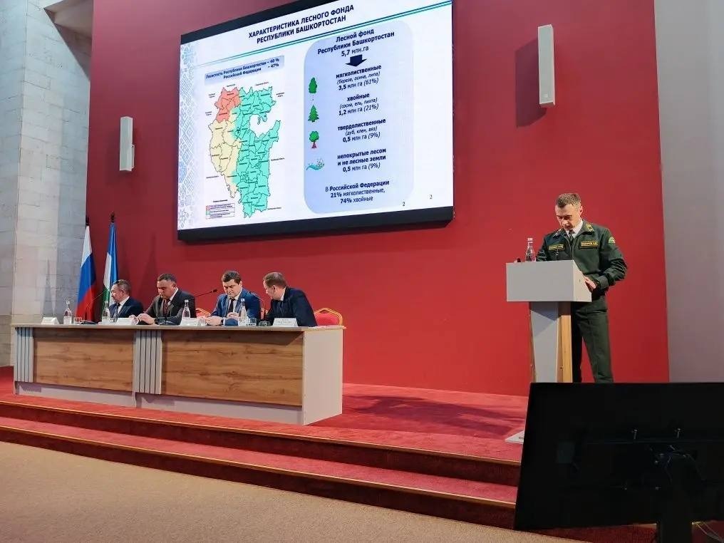 Алмаз Галимов Министерство лесного хозяйства РБ