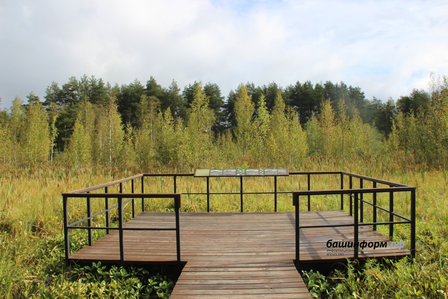 автор  Смотровая прощадка