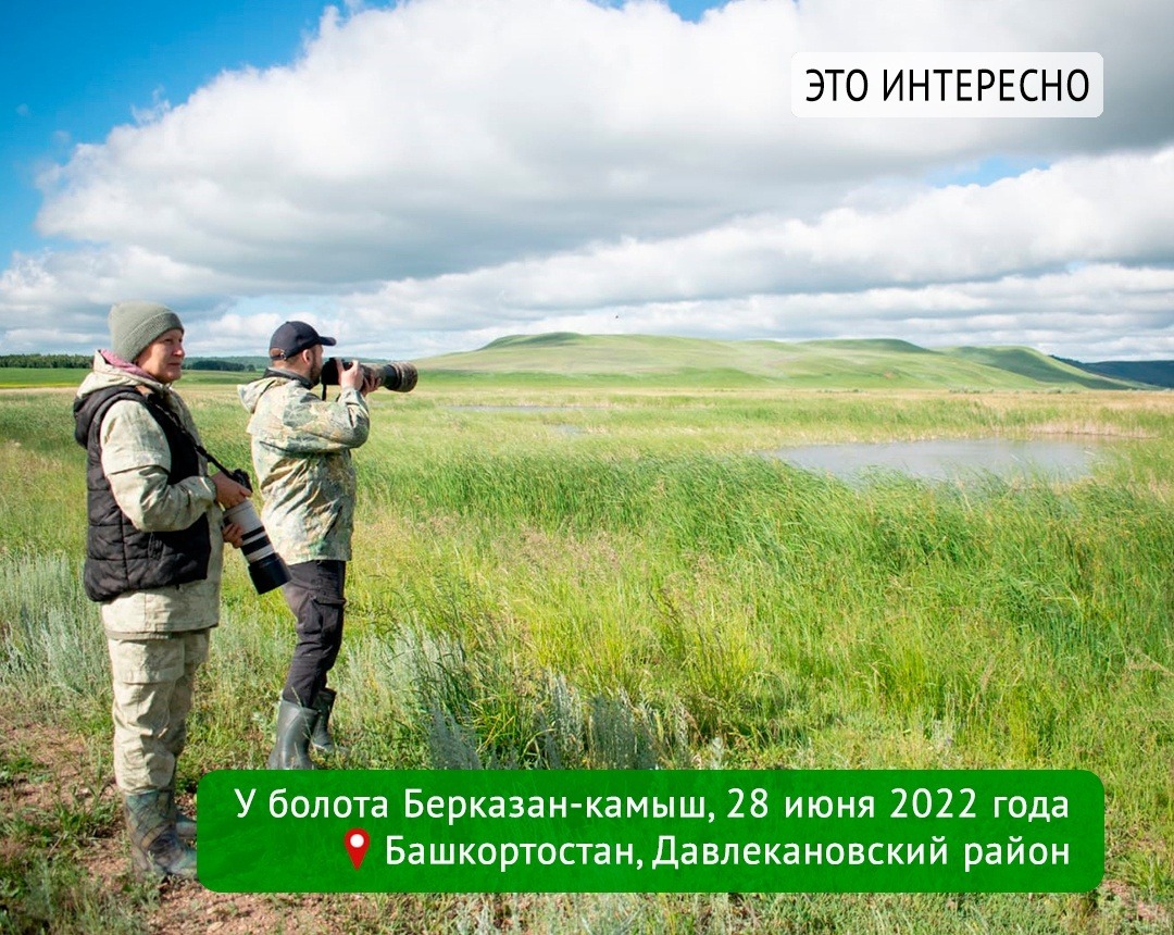 Эльза Габбасова, Константин Данилов