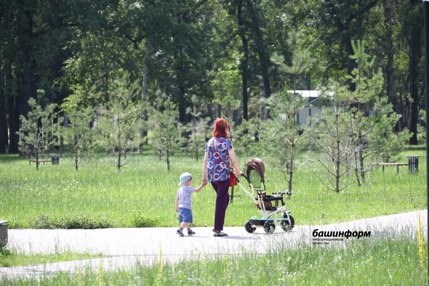 Валерий Шахов