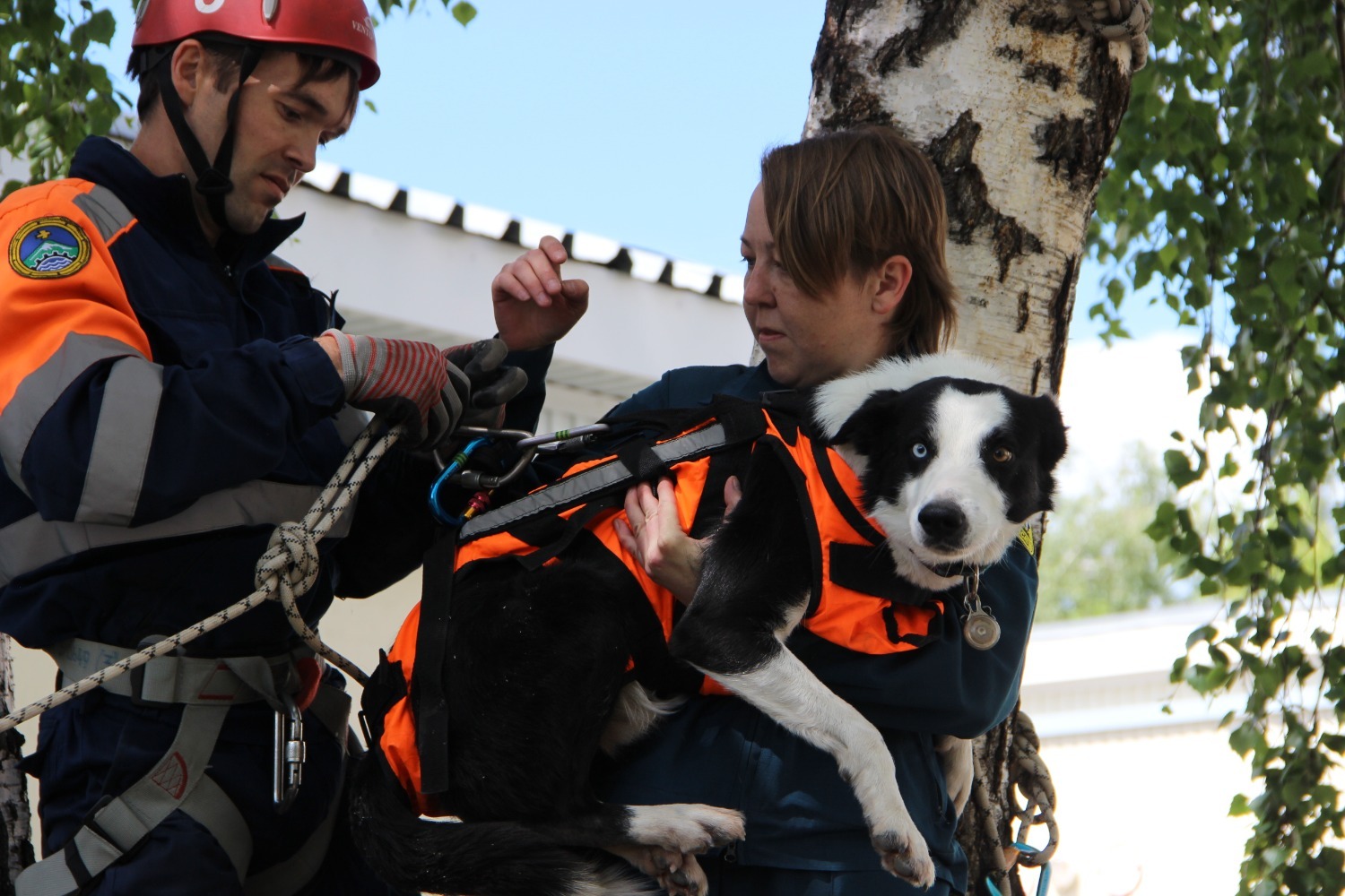 Ксения Калинина