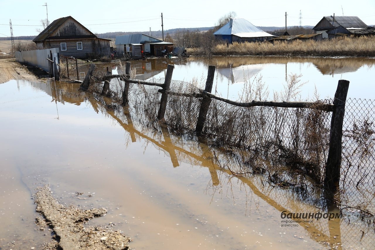 Валерий Шахов ИА Башинформ