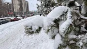 Ксения Калинина ИА «Башинформ»