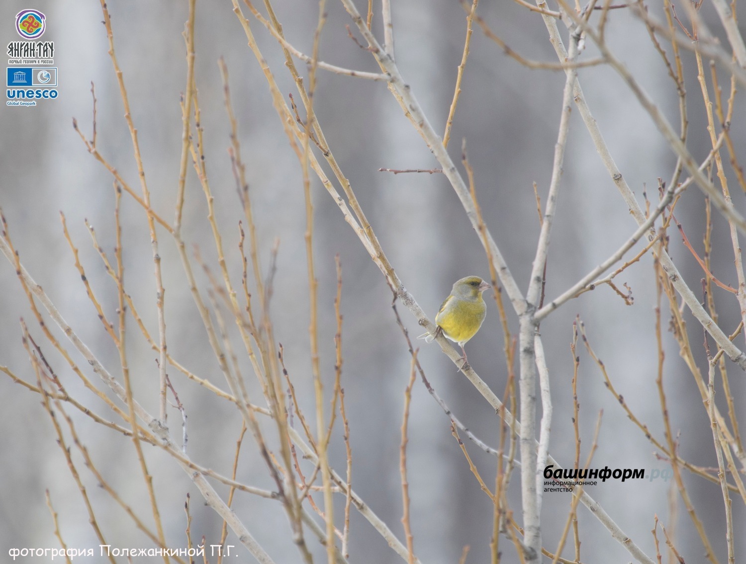 Полина Полежанкина  Геопарк ЮНЕСКО Янган-Тау