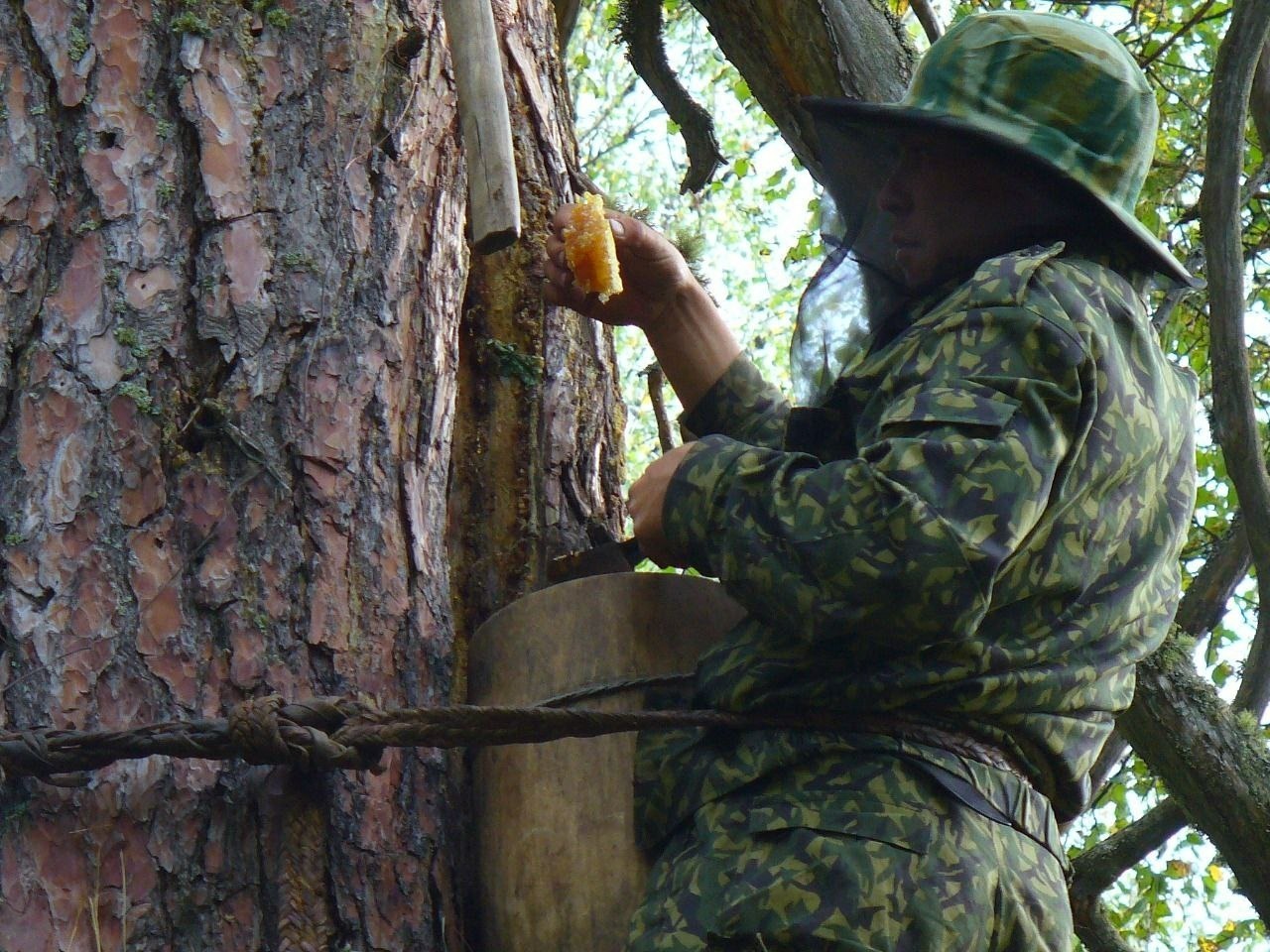 телеграм-канал Радия Хабирова