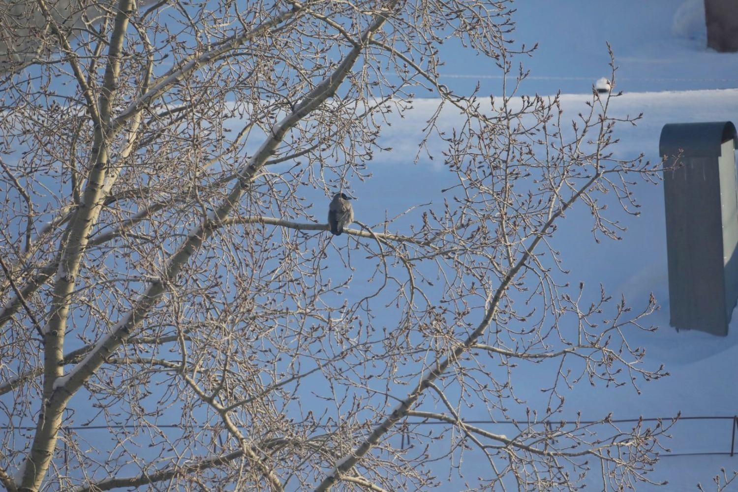 Валерий Шахов