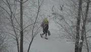 Ксения Калинина  ИА Башинформ