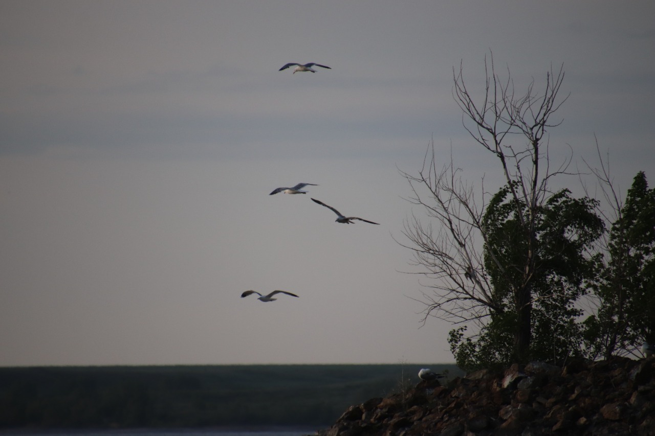 ПАО «Ростелеком» в Башкортостане предоставлено пресс-службой ПАО «Ростелеком» в Башкортостане