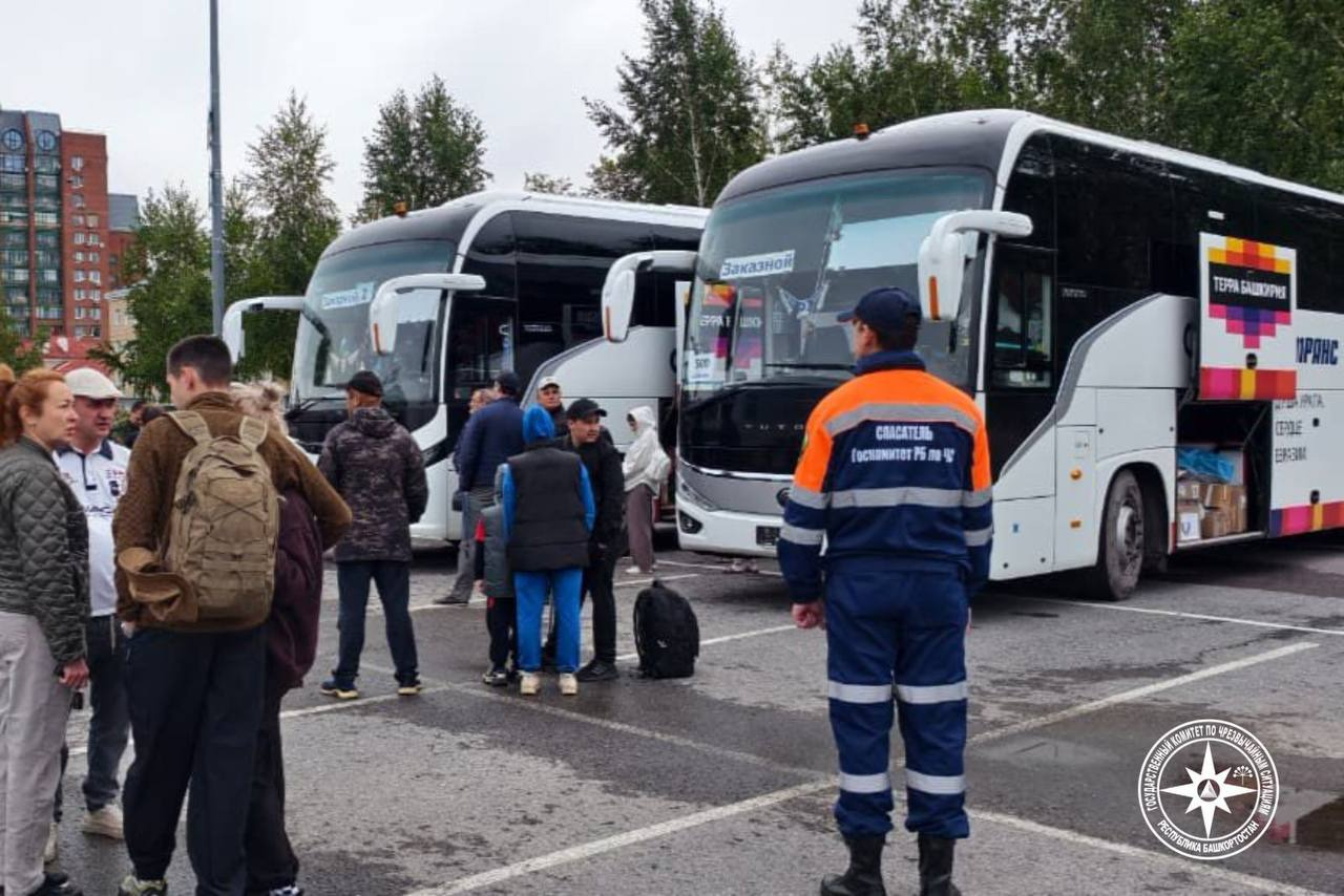 телеграм-канал Кирилла Первова