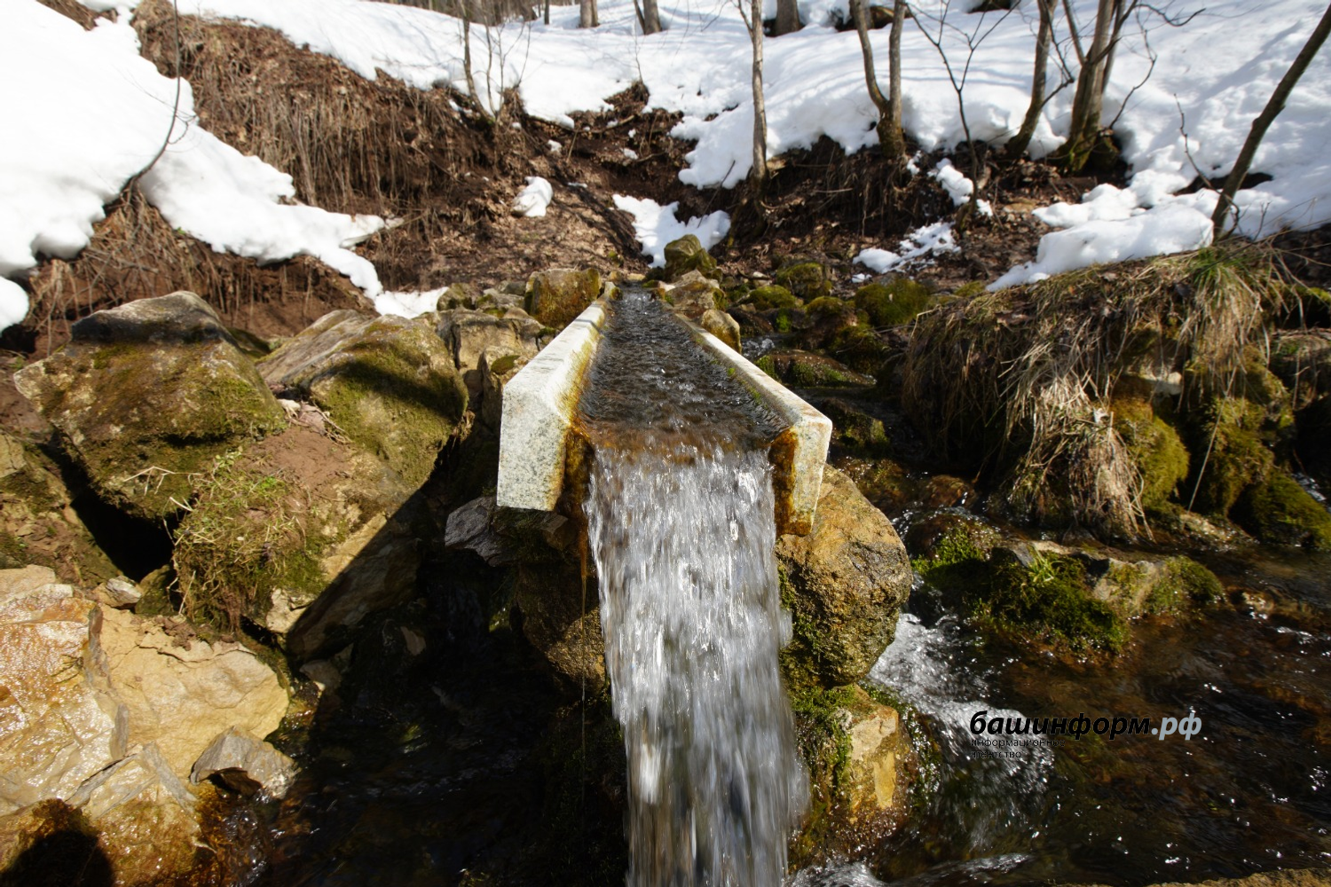 Олег Яровиков ИА "Башкортостан"