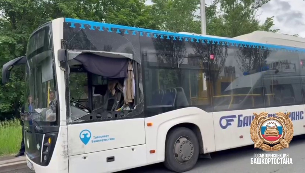 скриншот видео