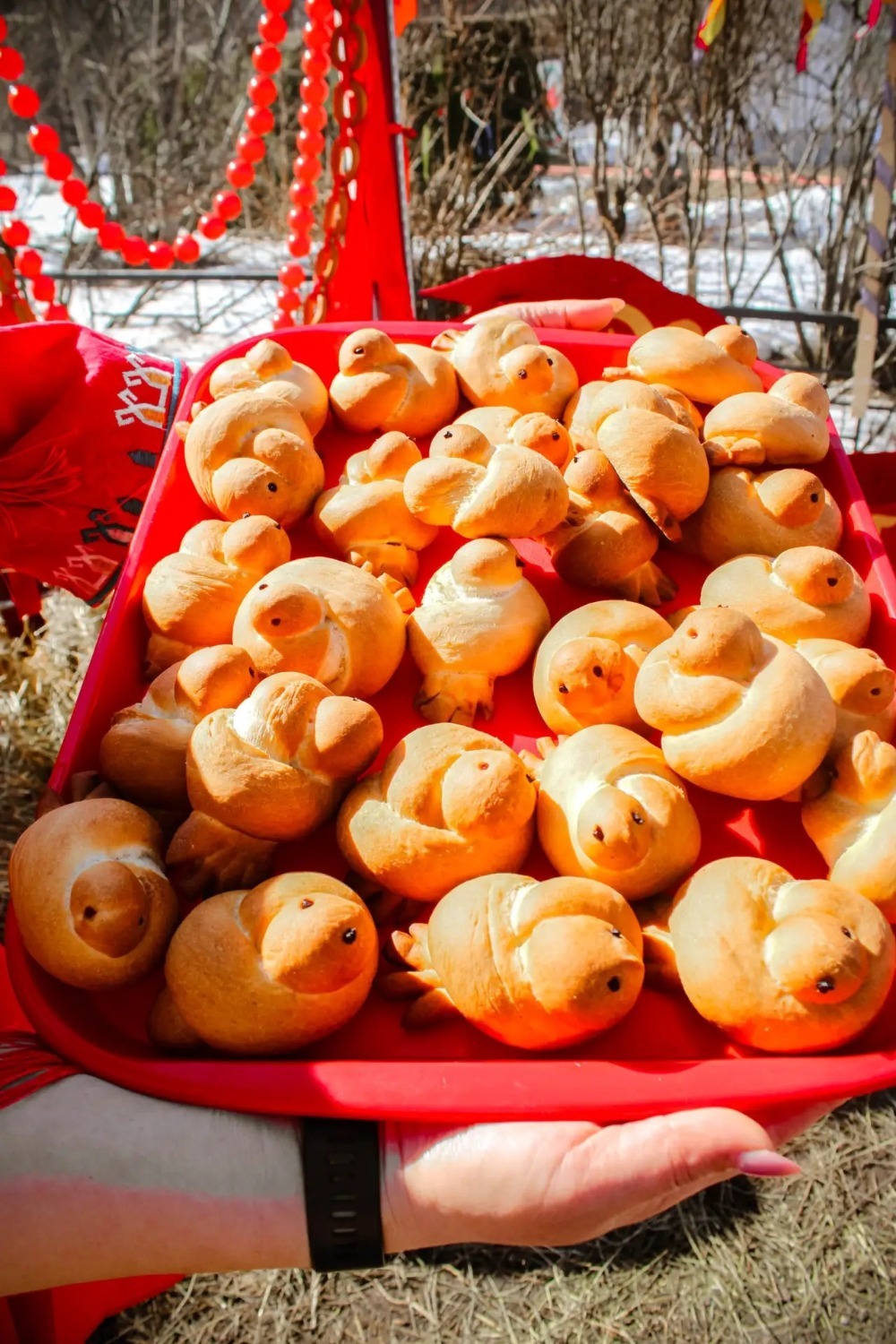 Ксения Аноцкая Иглинские вести