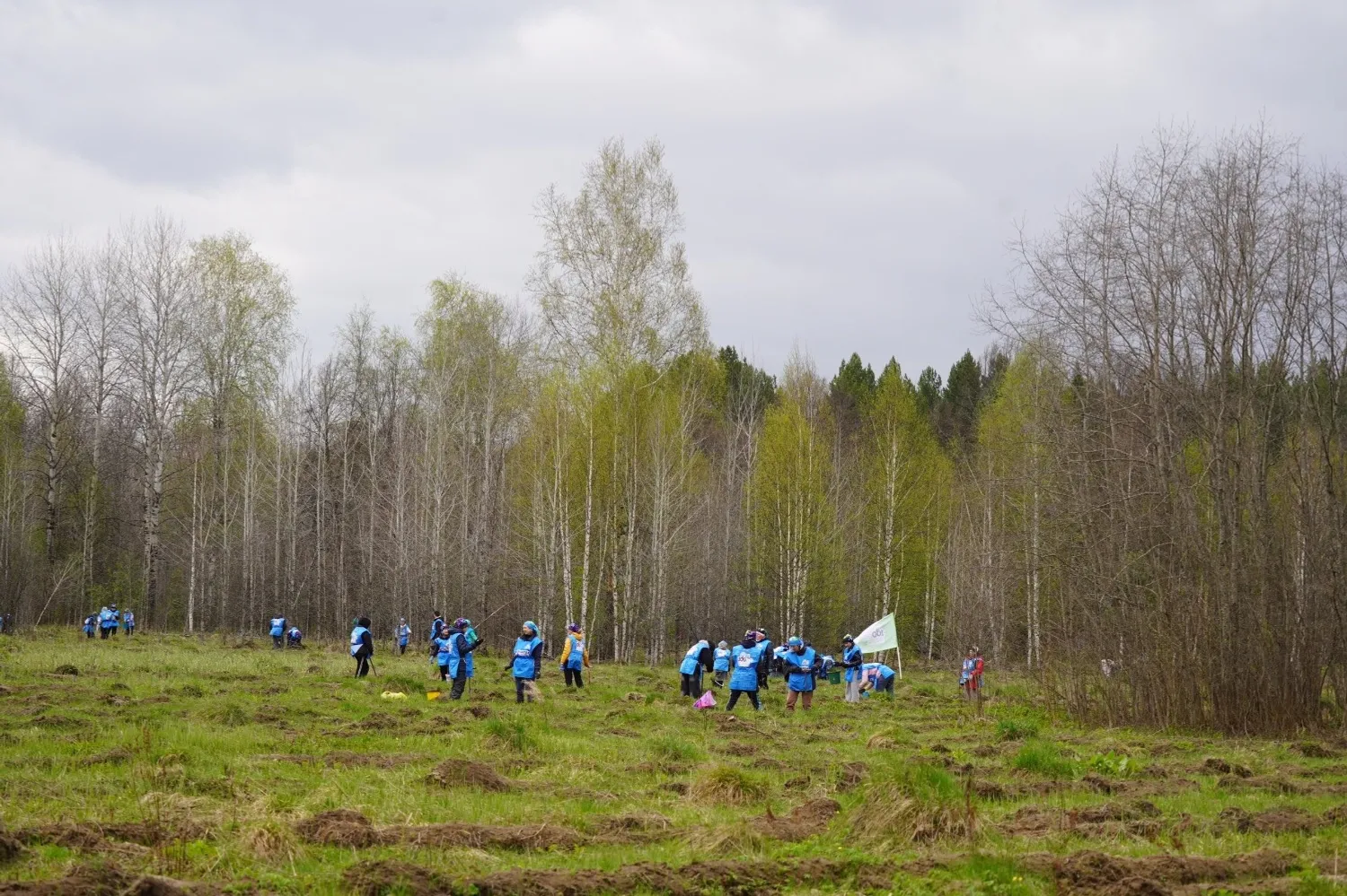 министерство  лесного хозяйства РБ