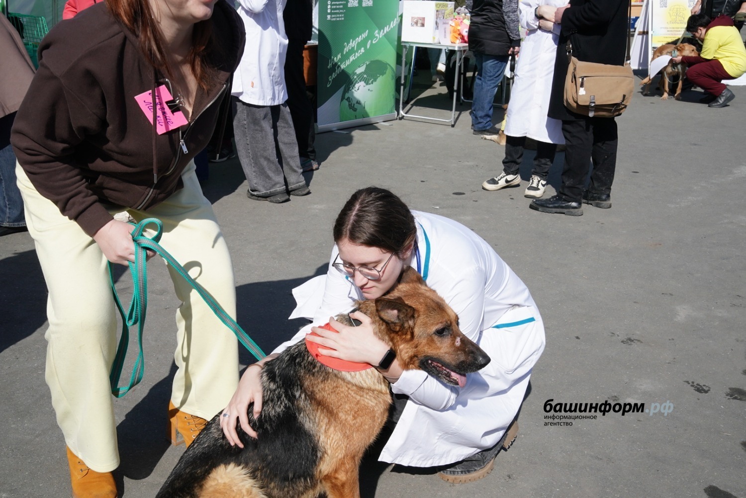 Олег Яровиков  ИА «Башинформ»