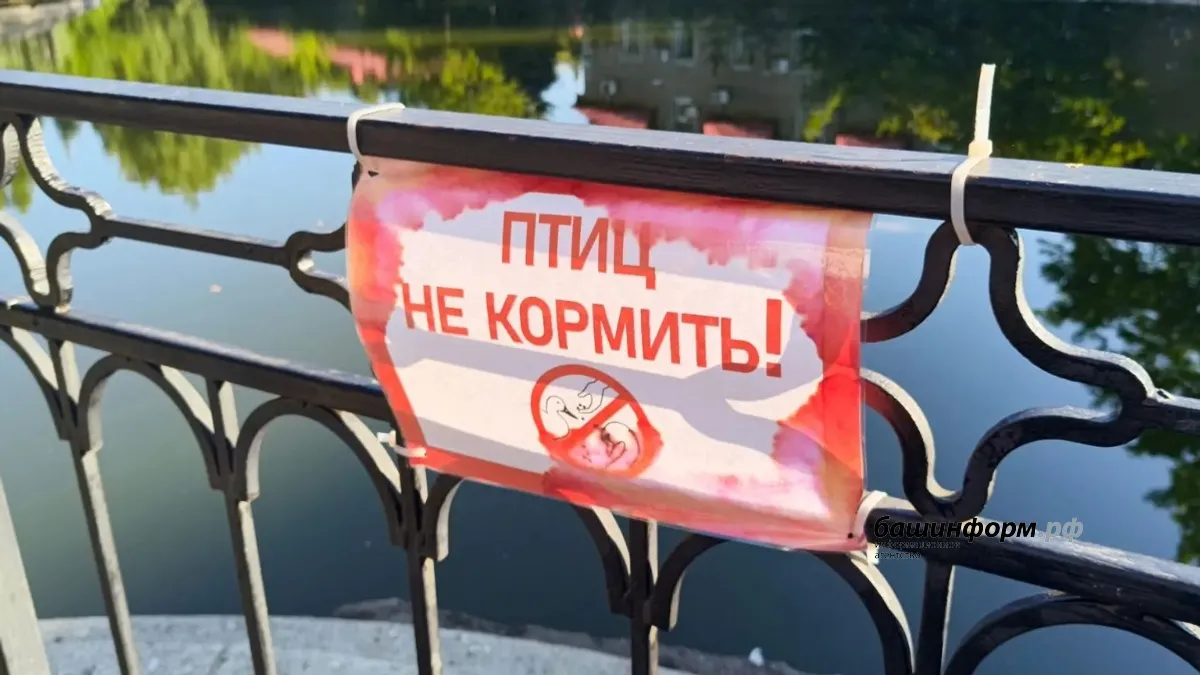 Эдуард Кускарбеков ИА Башинформ