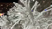 Ксения Калинина