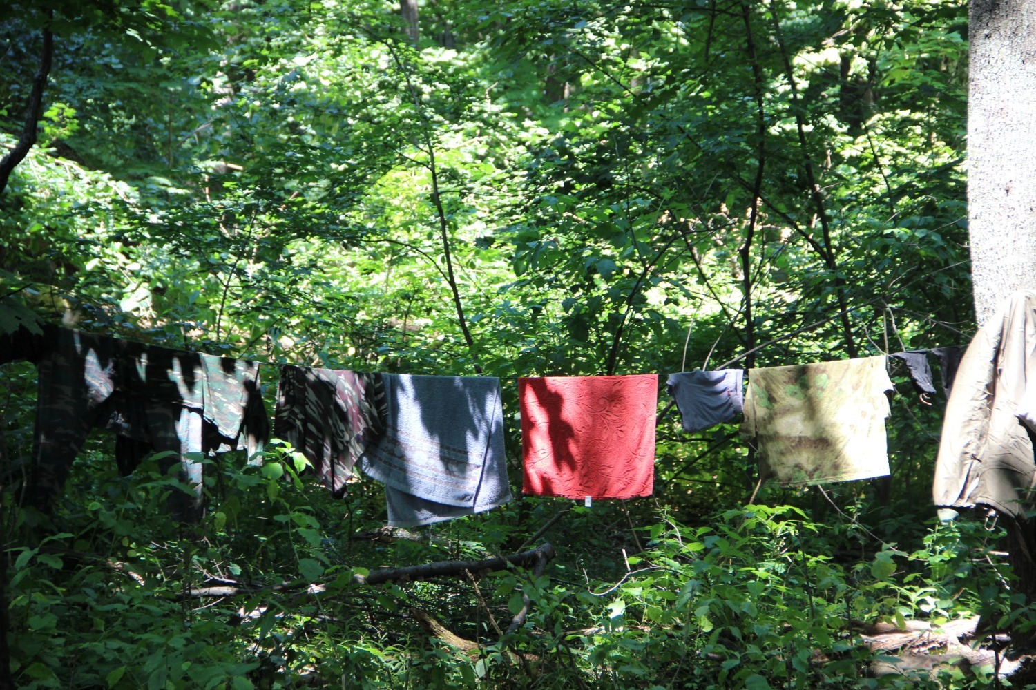 Эдуард Кускарбеков