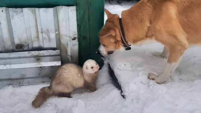 личный архив Андрея Жерновкова