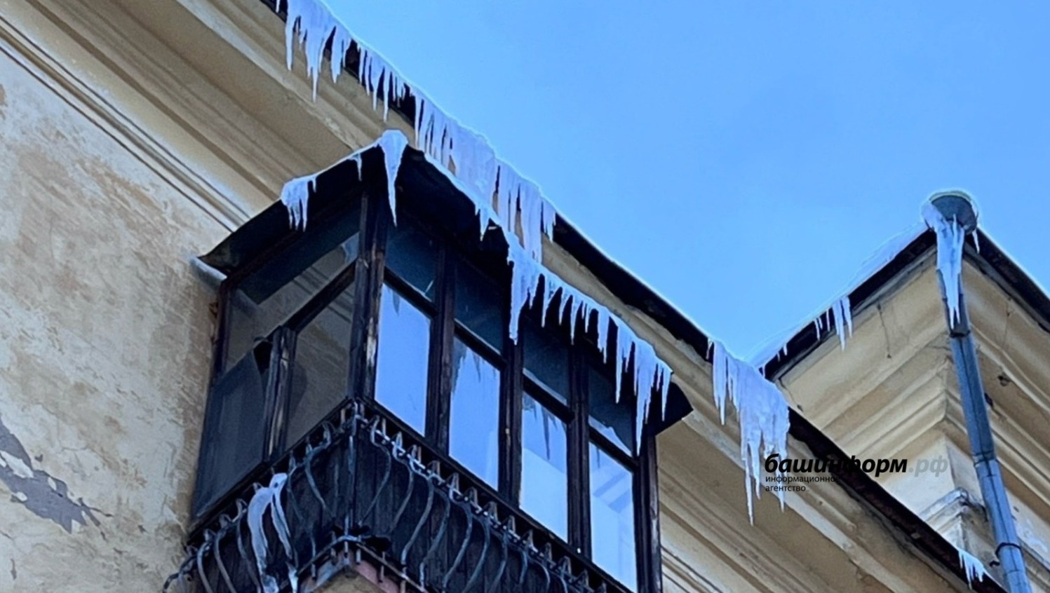 Ксения Калинина