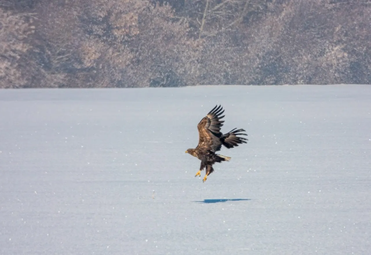 Рамиль Хамитов, телеграм-канал нацпарка «Башкирия»