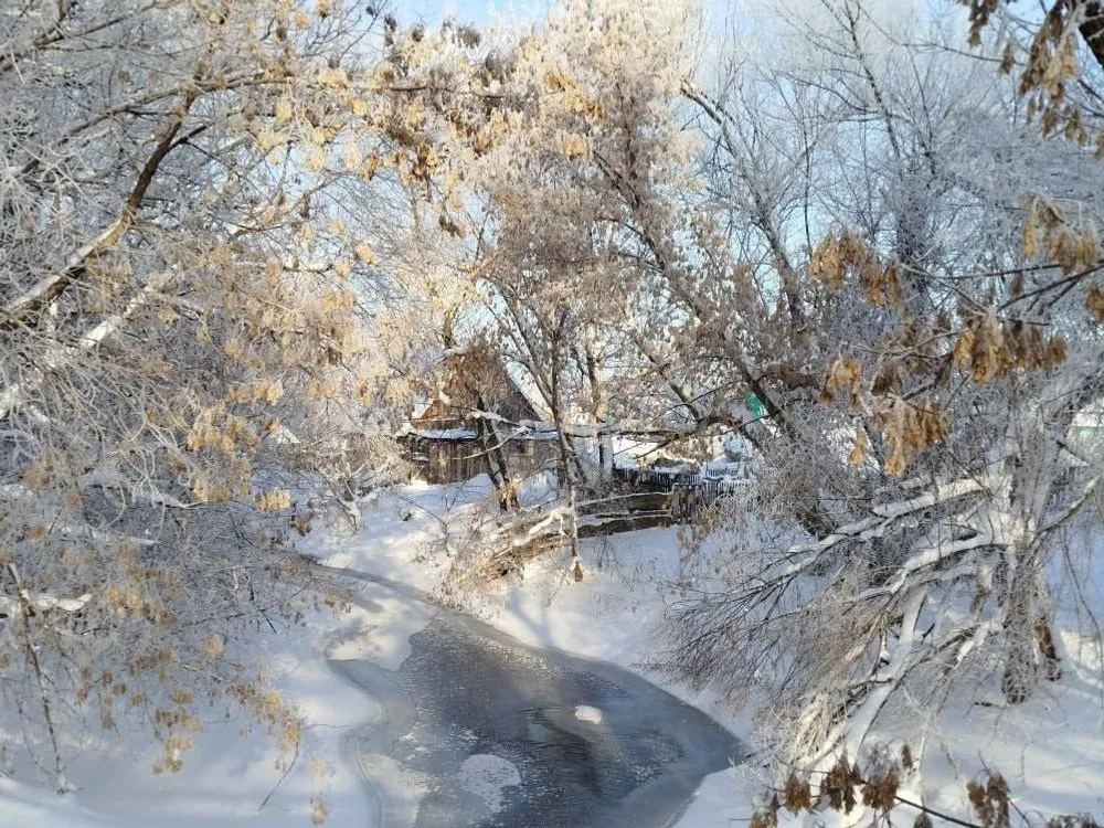 Радий Хабиров телеграм-канал