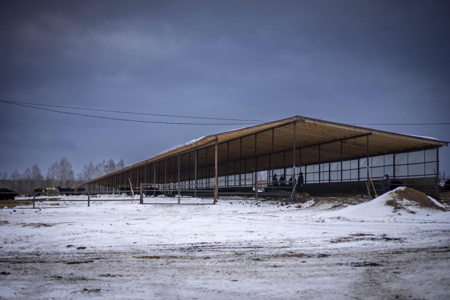 пресс-служба мисельхоза Башкирии