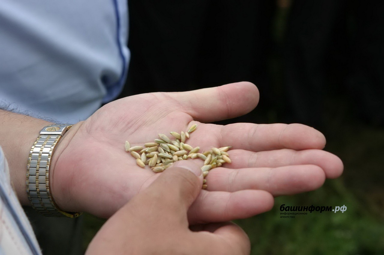 Олег Яровиков архив ИА "Башинформ"