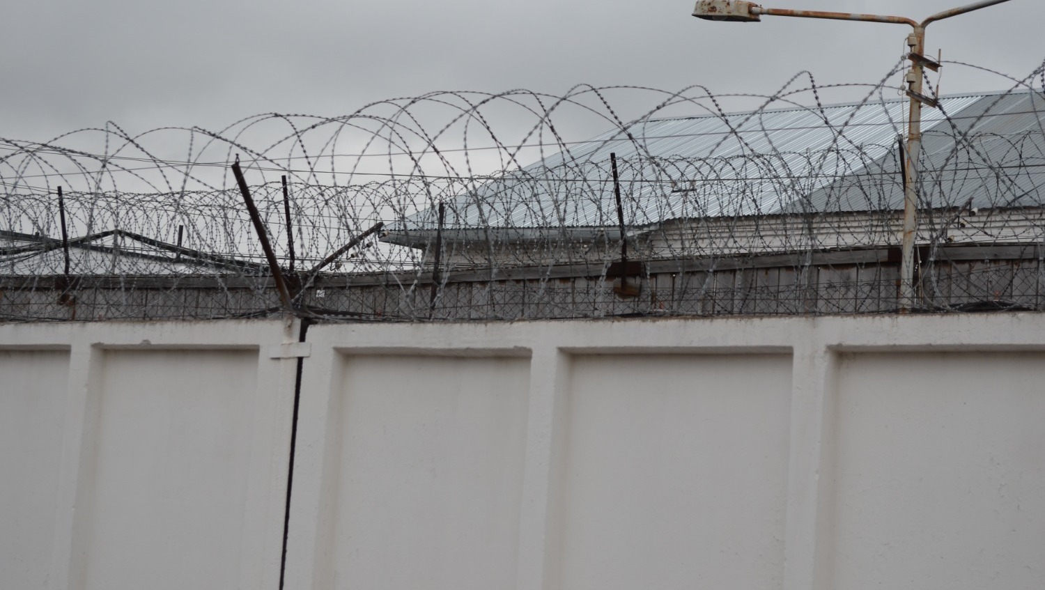 Ксения Калинина